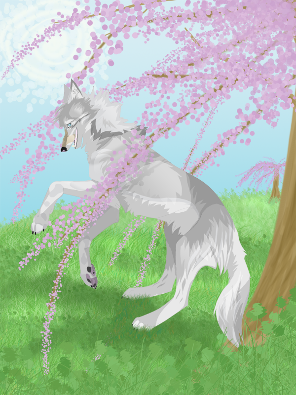 Spring