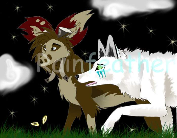 Kahvie and Garu