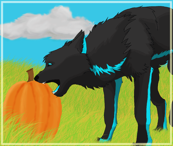Reward for Spirit the Cat
