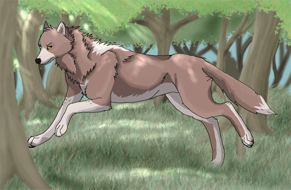 Phir's Forest