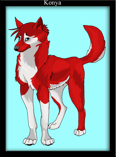Konya for WolfWithASilverTail