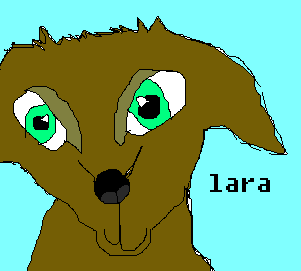 Experiment with eyes- Lara