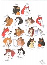 Kara and Misu family tree
