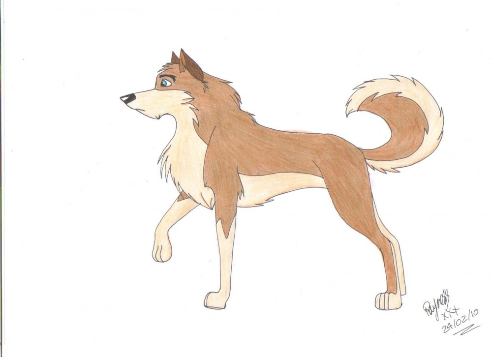 Rufus