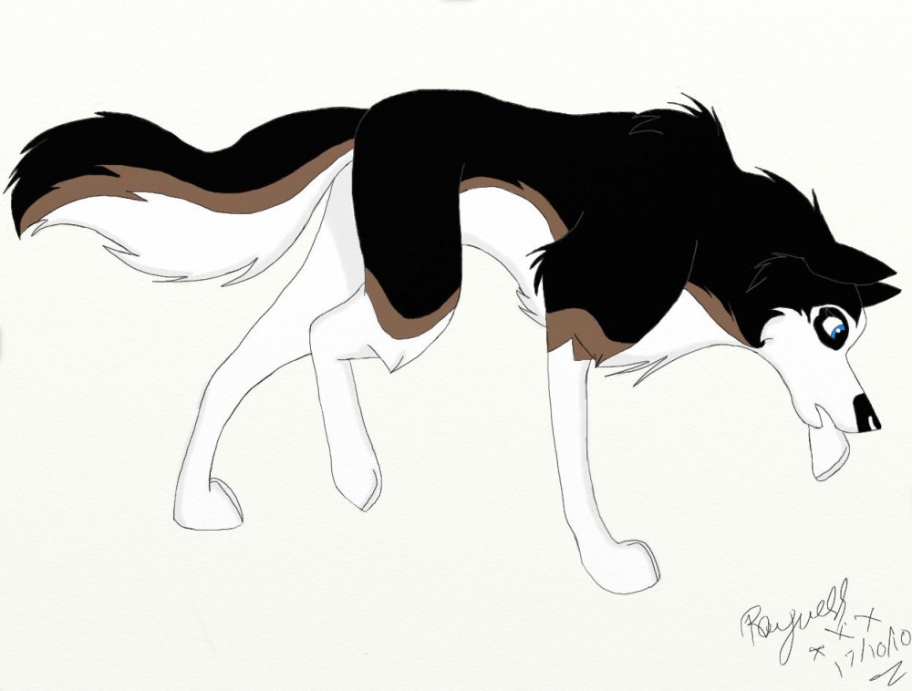 Gift art for Sakujo