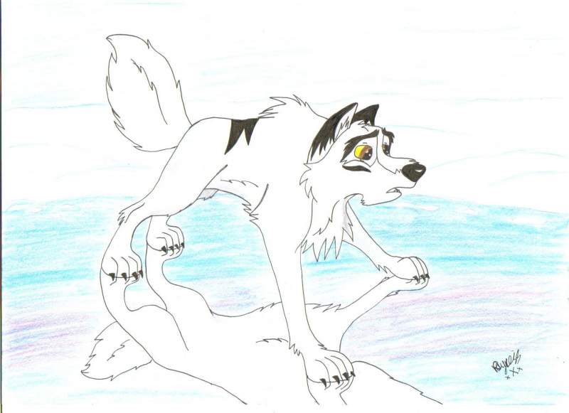 Poor Pahana slips on the ice