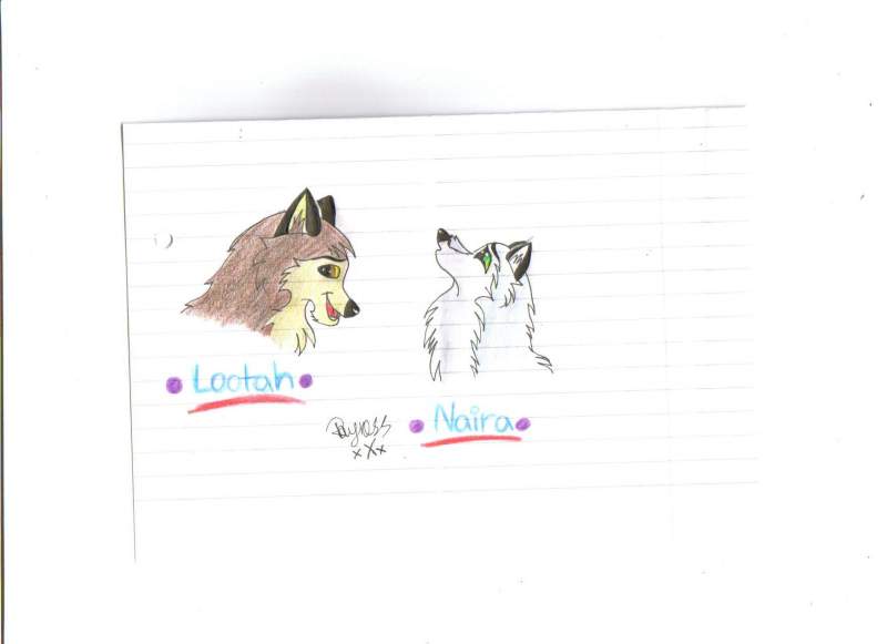 Lootah and Naira