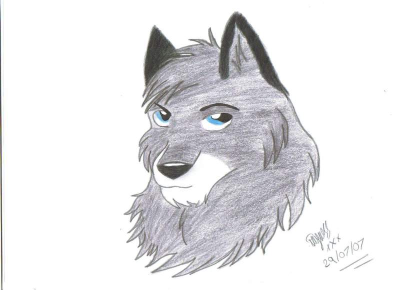 Chris as a wolf/dog =D