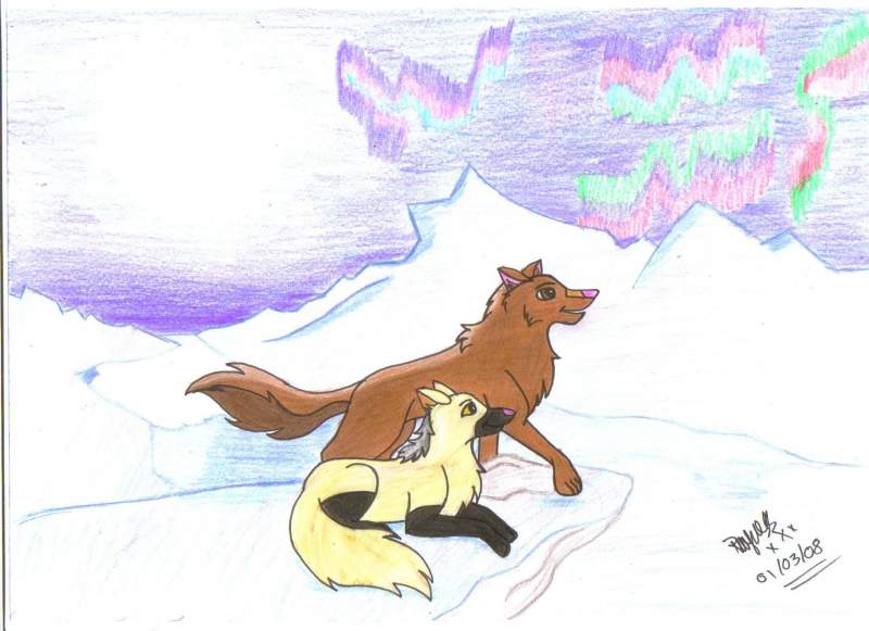Lexi and Chester for I am Alue the Wolf