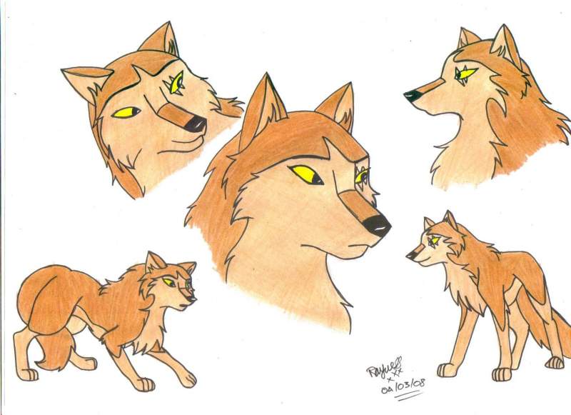 Nika for saske italian wolf