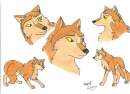 Nika for saske italian wolf