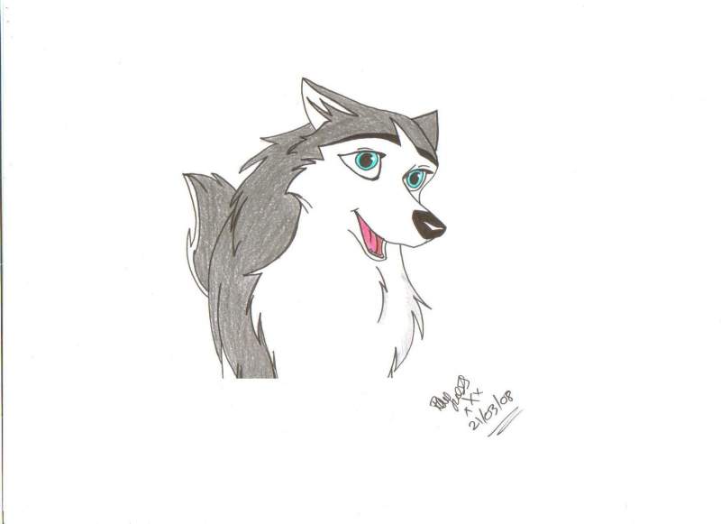 Teal for TealHusky