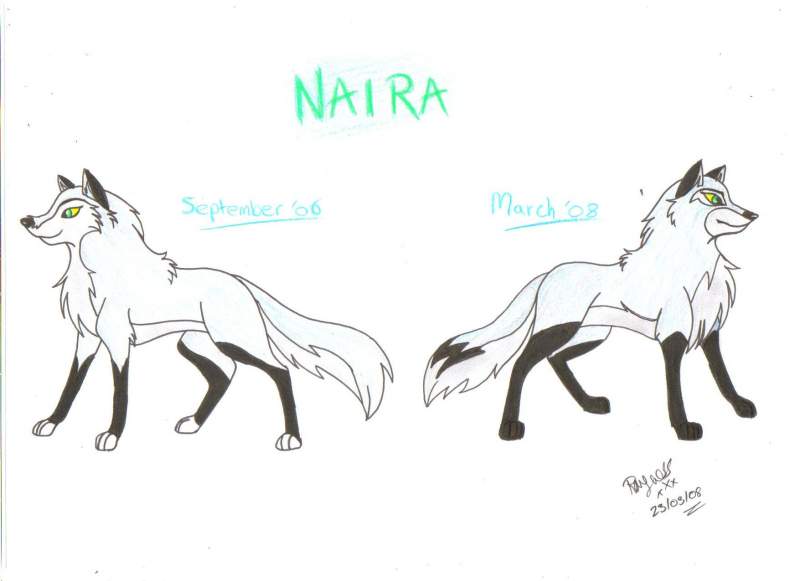 Naira re-design