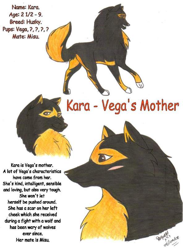 Kara's Bio Sheet
