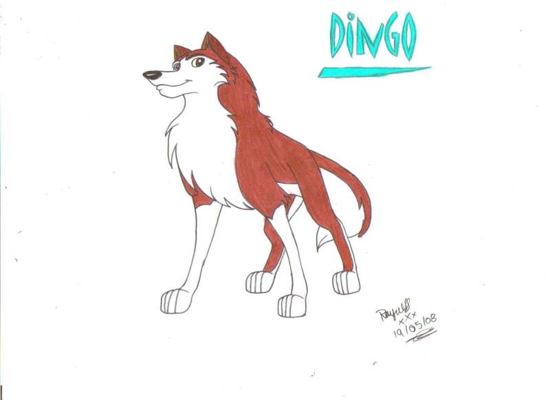 My version of Dingo
