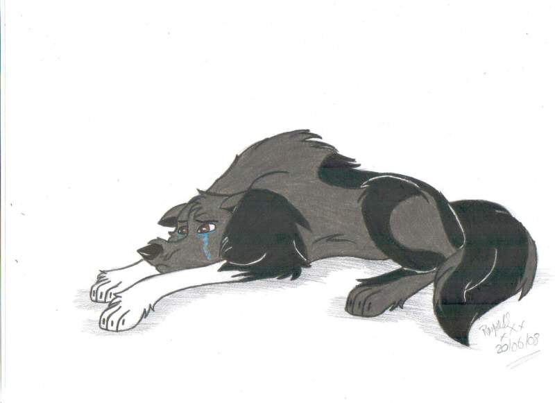 Sad Faelan =(