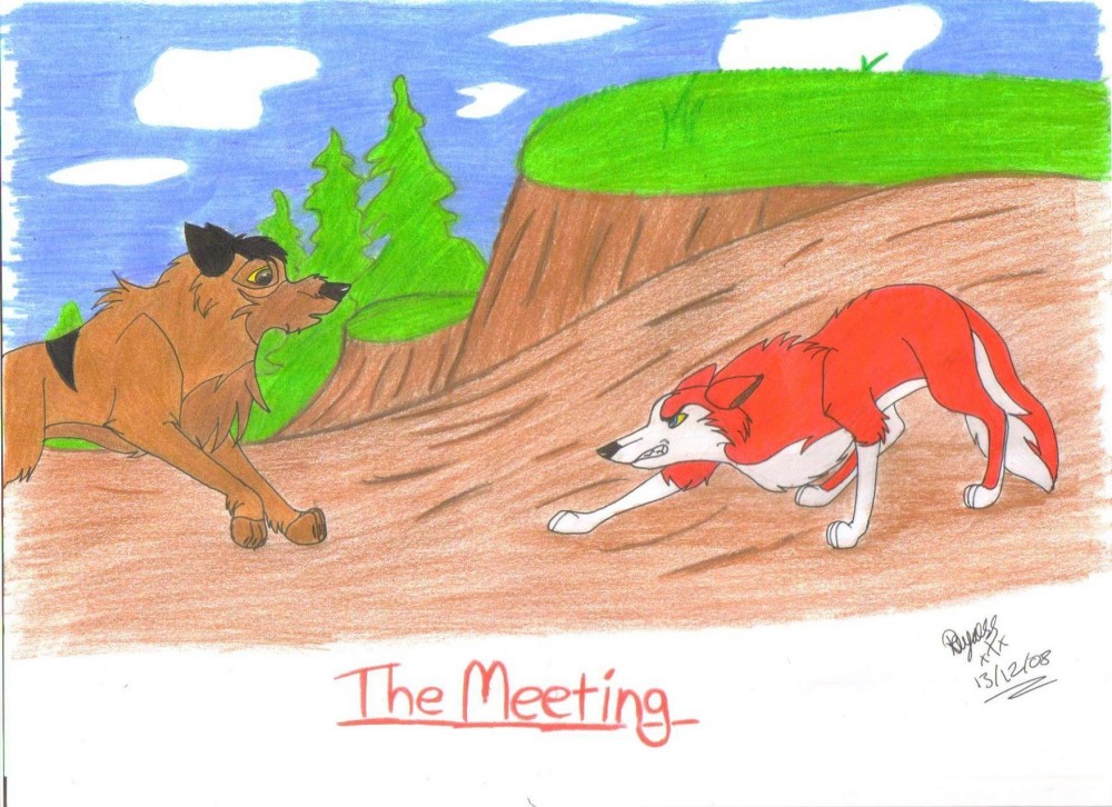 The Meeting