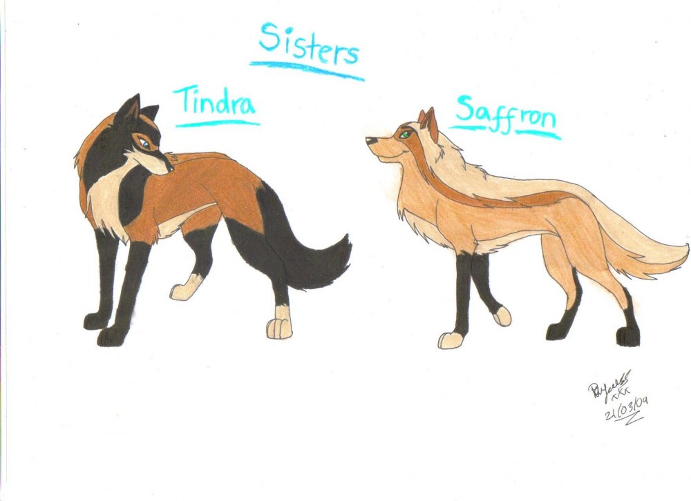 Tindra and Saffron
