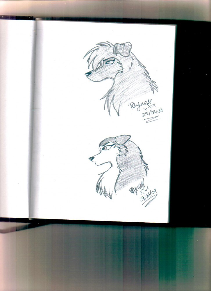 Sketchbook doodles 2 - Stef and Saba/Ruby