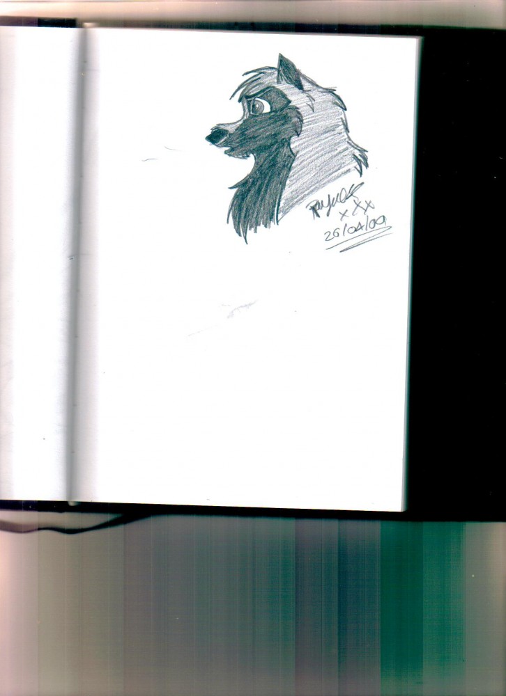 Sketchbook doodles 3 - Young Gunner