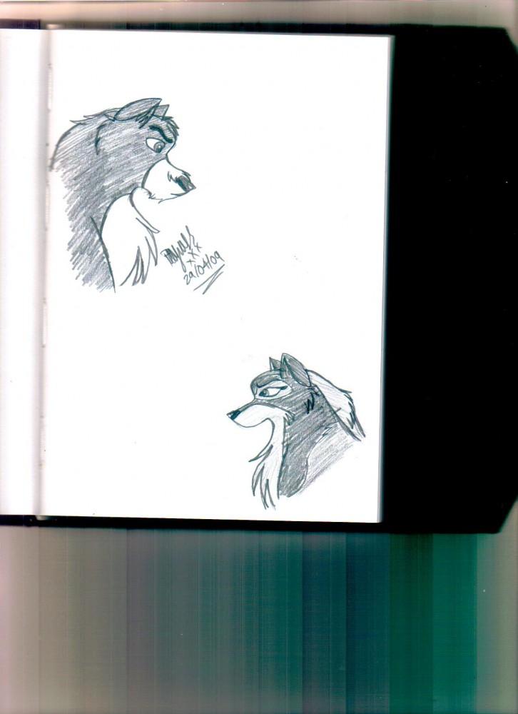 Sketchbook doodles 4 - Diallo and Tindra
