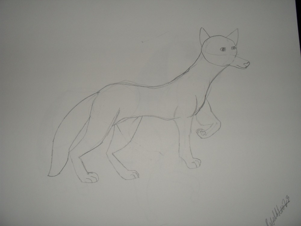 Wolf Lineart