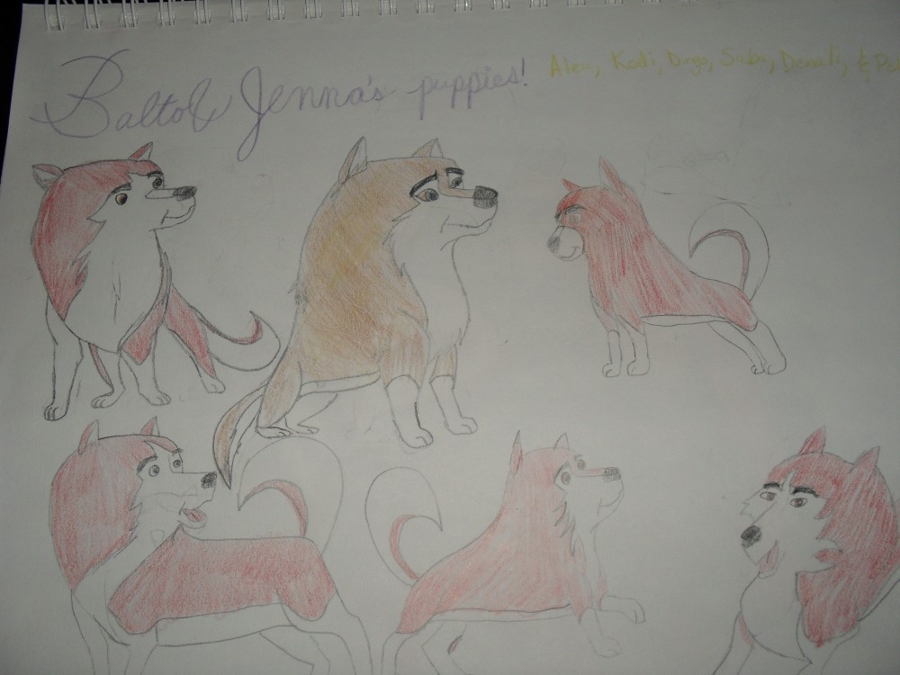 Balto and Jenna's Puppies