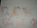 Balto and Jenna's Puppies
