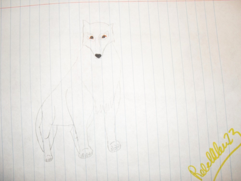 Time of the Wolf: Aniu Drawing