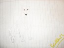 Time of the Wolf: Aniu Drawing