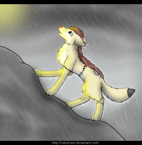 The Climb