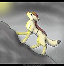 The Climb
