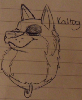 Sketchy Kaltag