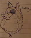 Sketchy Kaltag