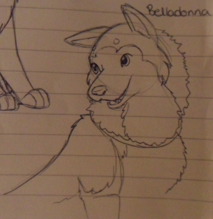 Sketchy Belladonna