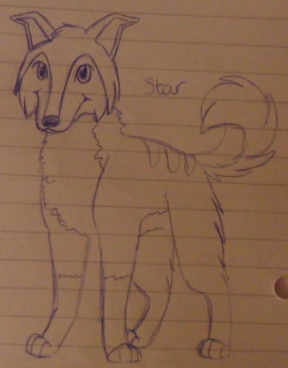 Sketchy Star