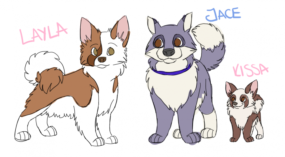 Jace, Layla, Kissa