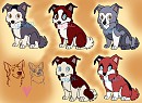 DingoxTien Pups