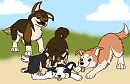 Pups