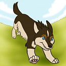 Run