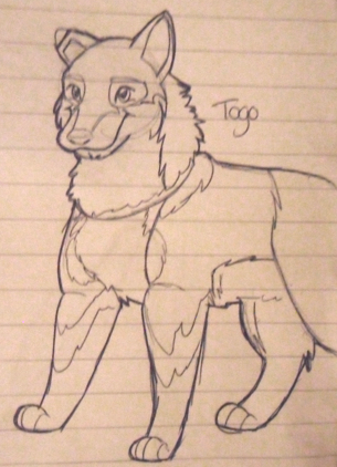 Sketchy Togo