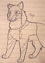 Sketchy Togo