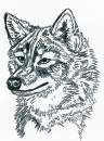 	Wolf Sketch