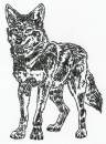 Wolf Sketch 2