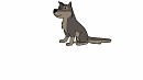 Balto