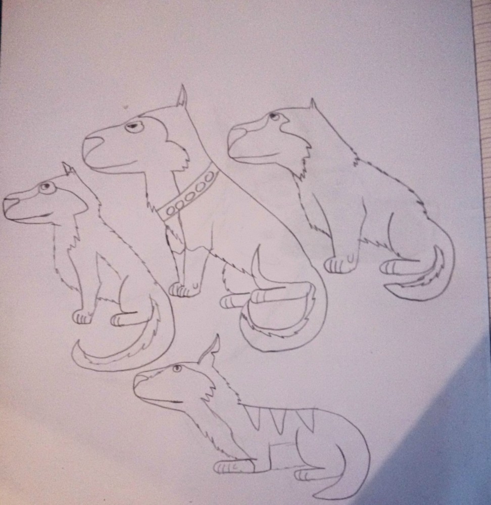Mes quatre chiens de traîneaux préférés