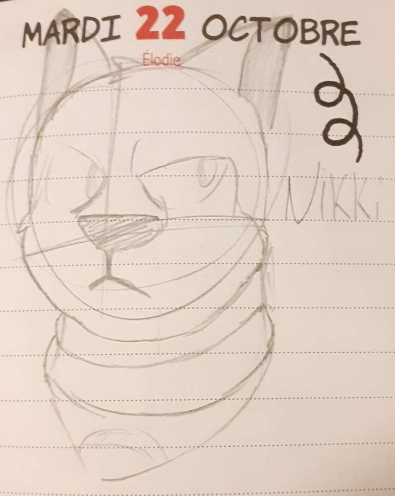 Juste un Nikki
