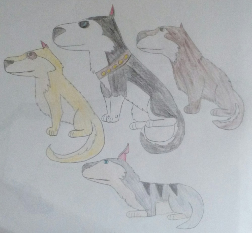 Mes quatre chiens de traîneaux préférés colorié