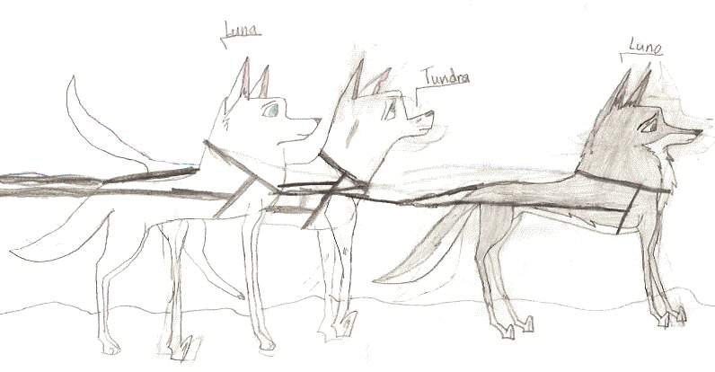 Luno, Luna, and Tunder