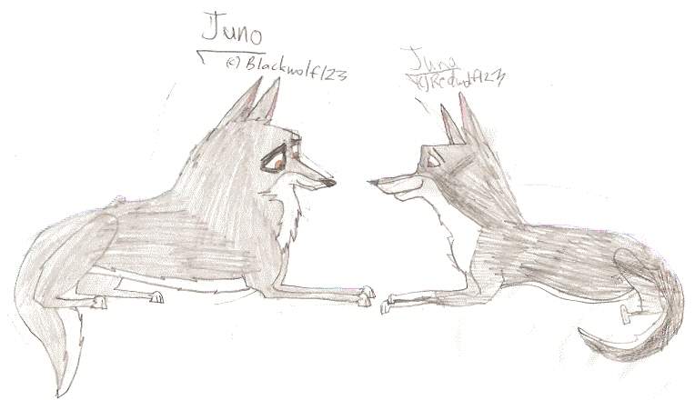 Juno and Juna